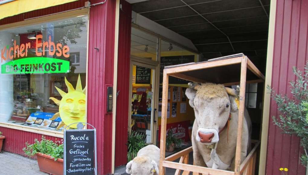 Hintergrundbild Kichererbse Bio Feinkost