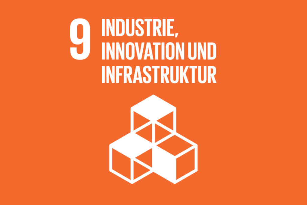 SDG9