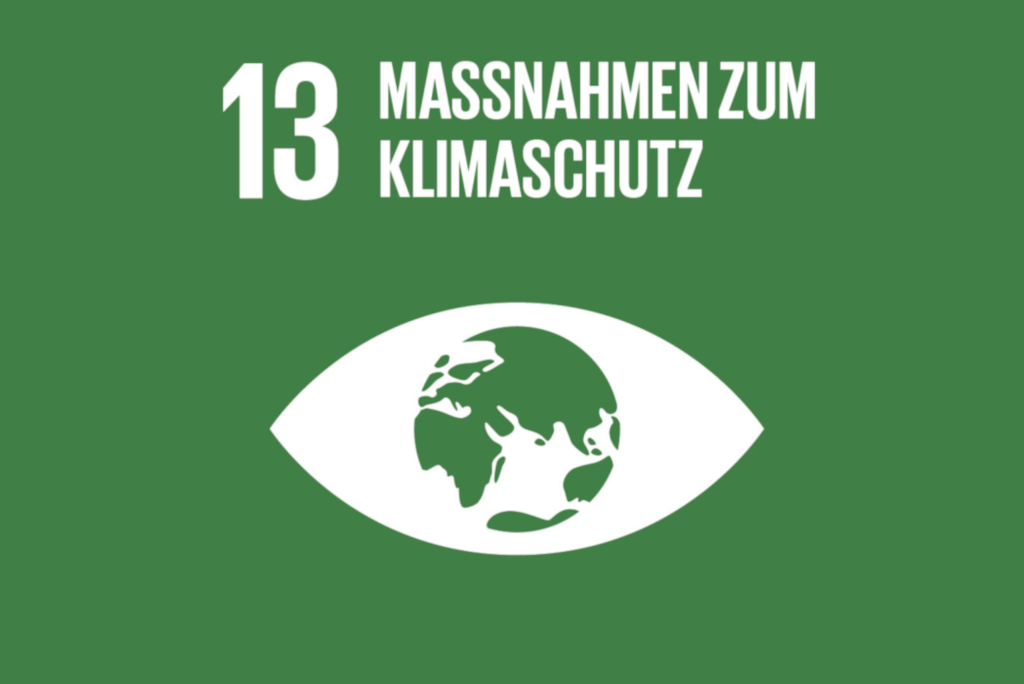 SDG13