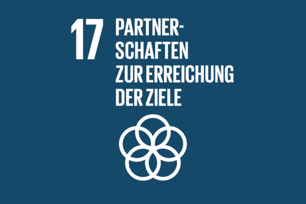 SDG17