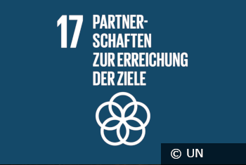 SDG17 mit Copyright