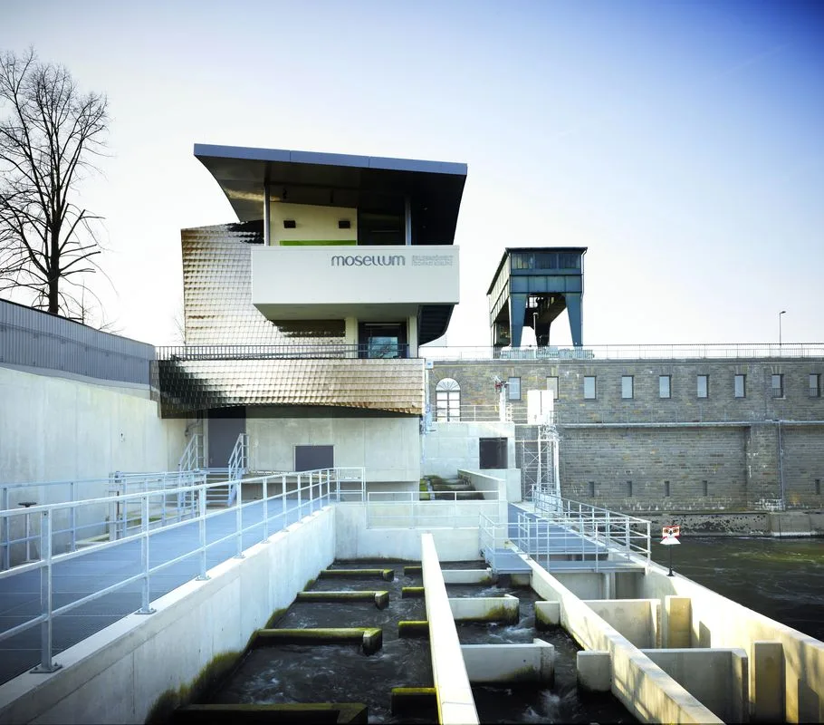 Mosellum Aussenansicht