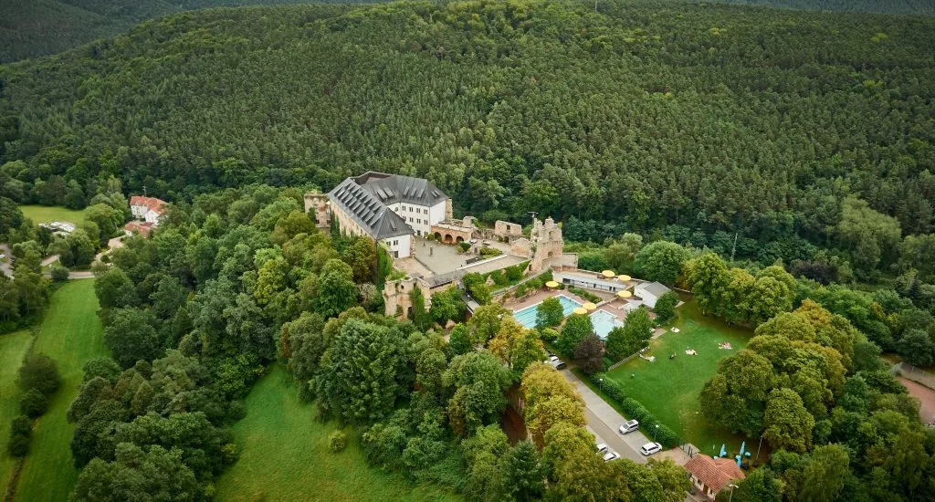 Titelbild Altleiningen