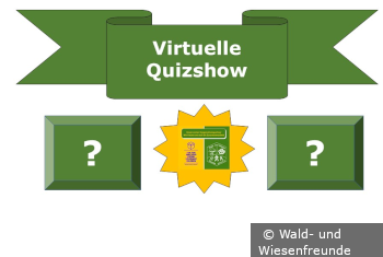 Virtuelle Quizshow mit Copyright
