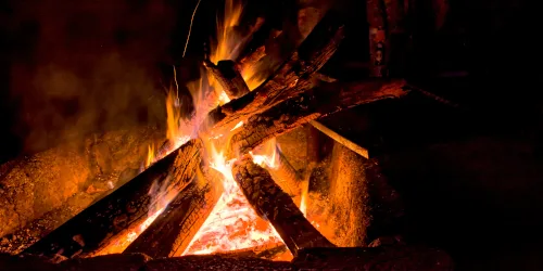 Guhls Weihnachtsmarkt Onlineangebote