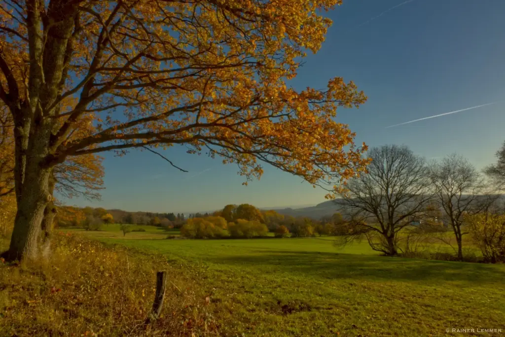 WIR Westerwälder Hintergrund