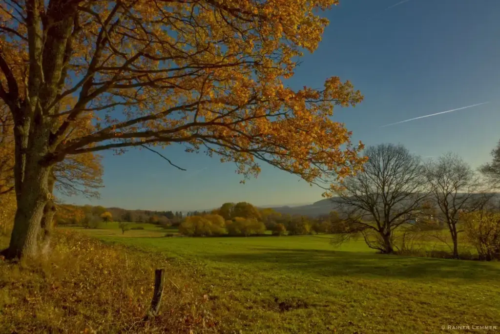 WIR Westerwaelder Hintergrund