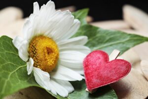 Blumen Muttertag