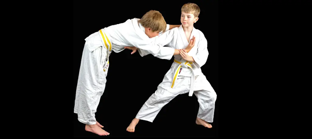 Bild Zen-Bogyo-Do e.V.