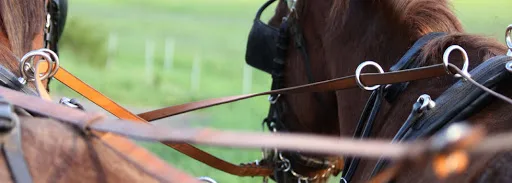 Hintergrundbild Pappelhof