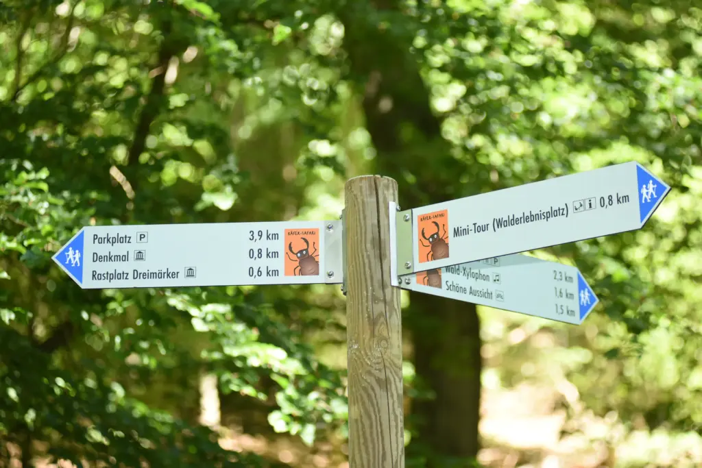 Bild Kaefer Safari wegweiser