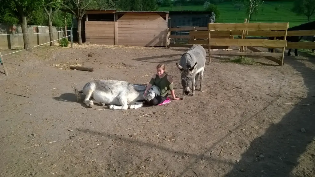 Bild Erdmannshof in Heiligenmoschel