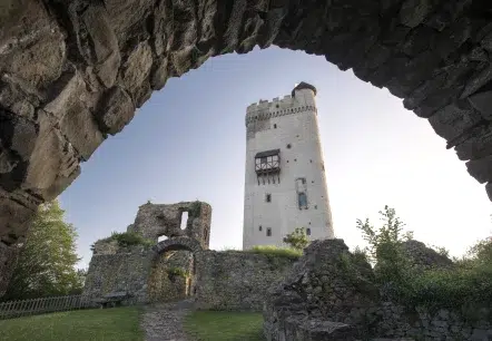bergfried webp