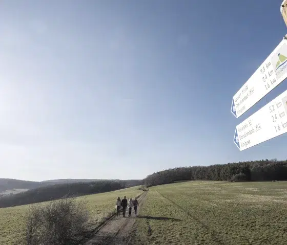 weg ins vinxtbachtal webp