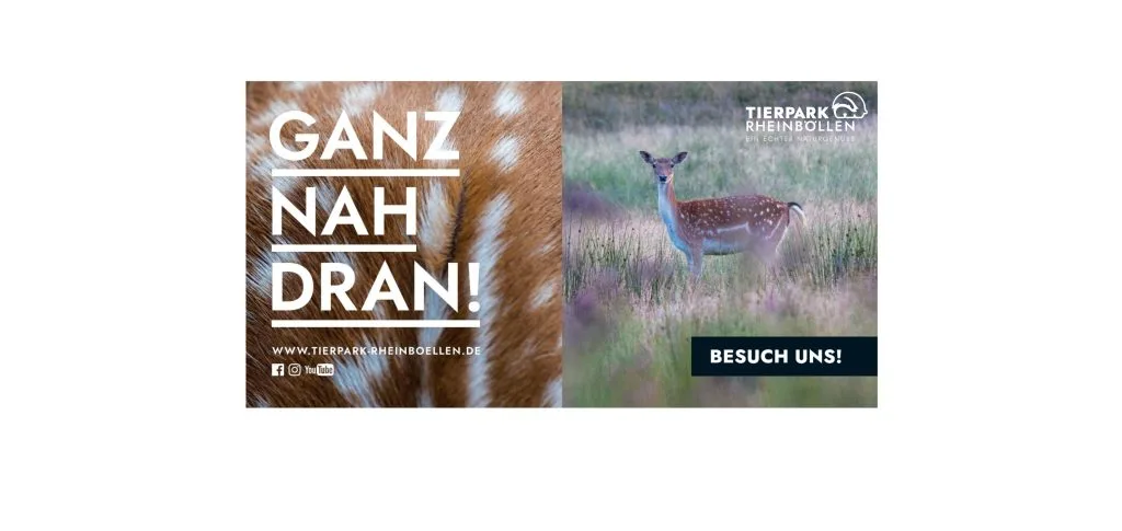 Design ohne Titel jpg