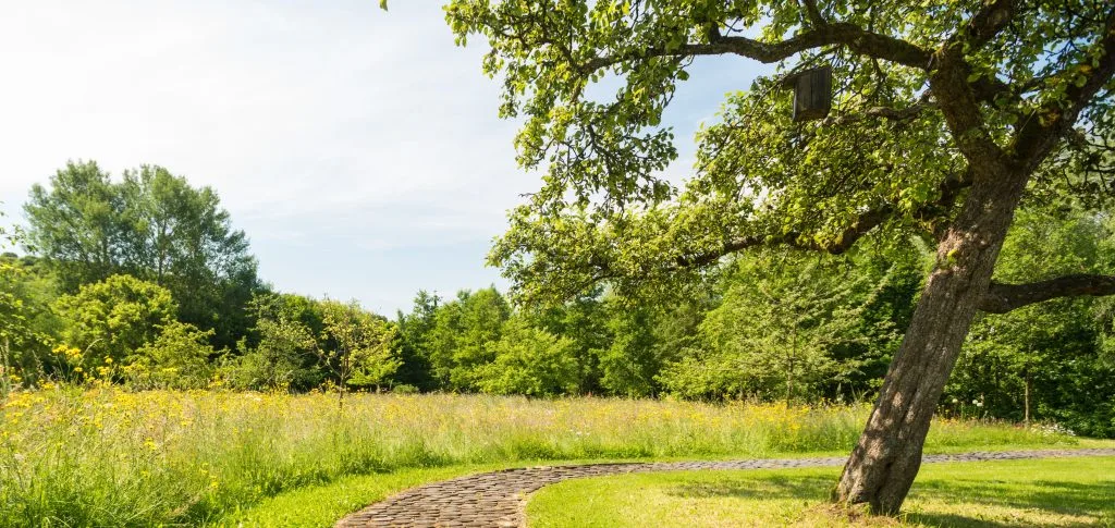 Bad Mbg Barfussweg jpg