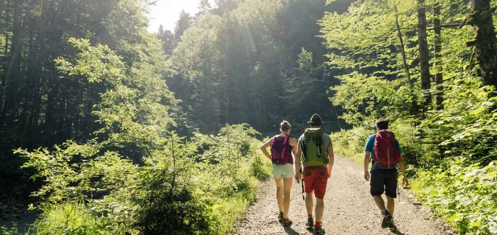 DAV Wandern HH cca jpg