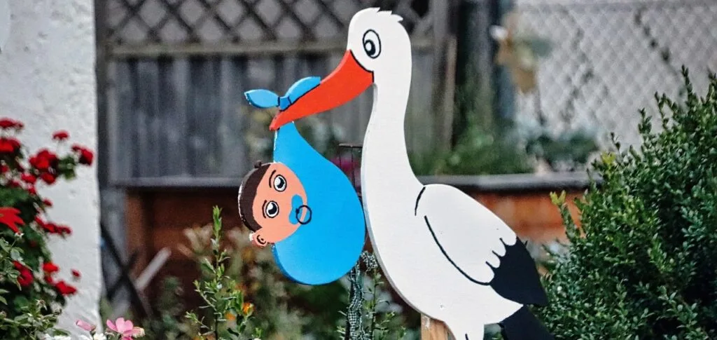 pixabay de planet fox jpg