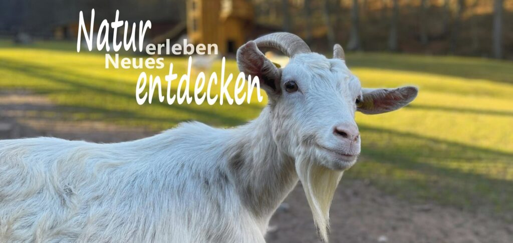 fb rund jpg