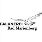 Falknerei Bad Marienberg